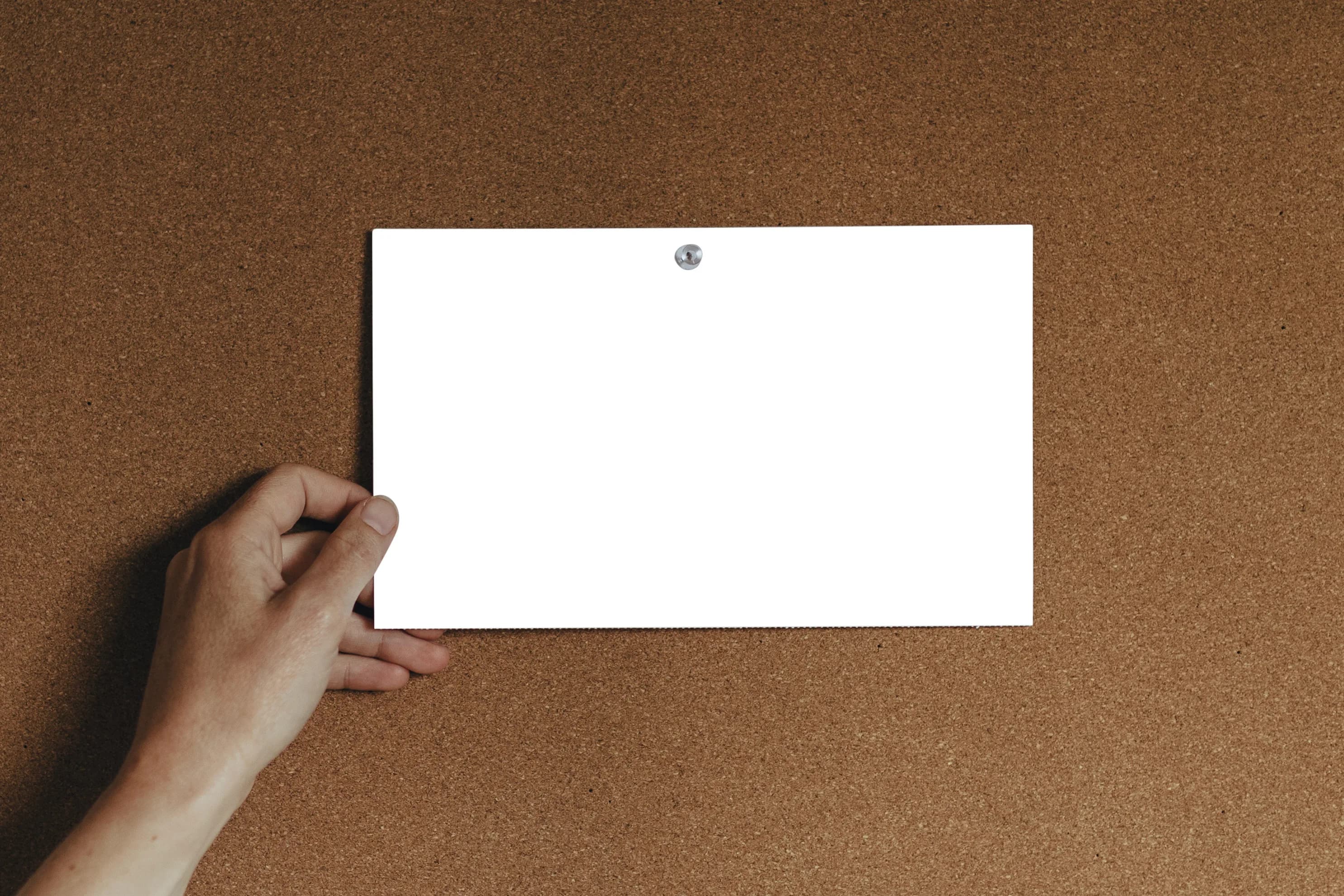 A hand pinning a picture onto a corkboard