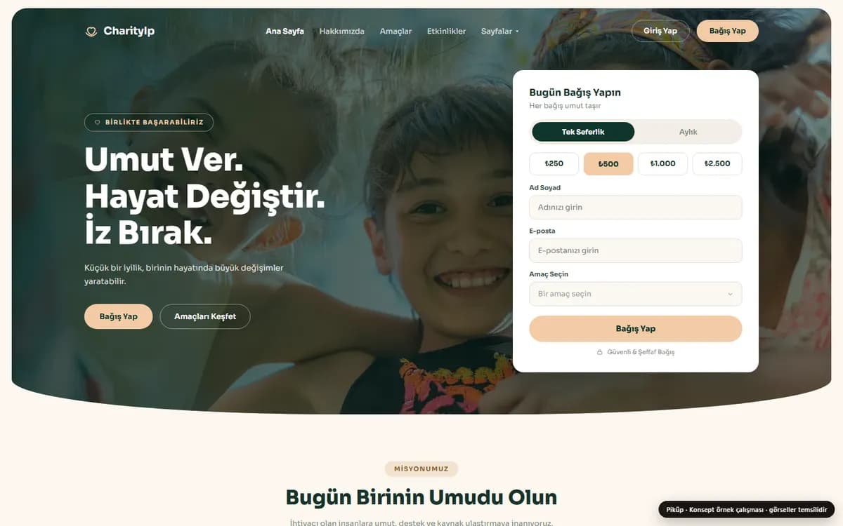 Dernek ve bağış örneği — Piküp konsept çalışması ekran görüntüsü