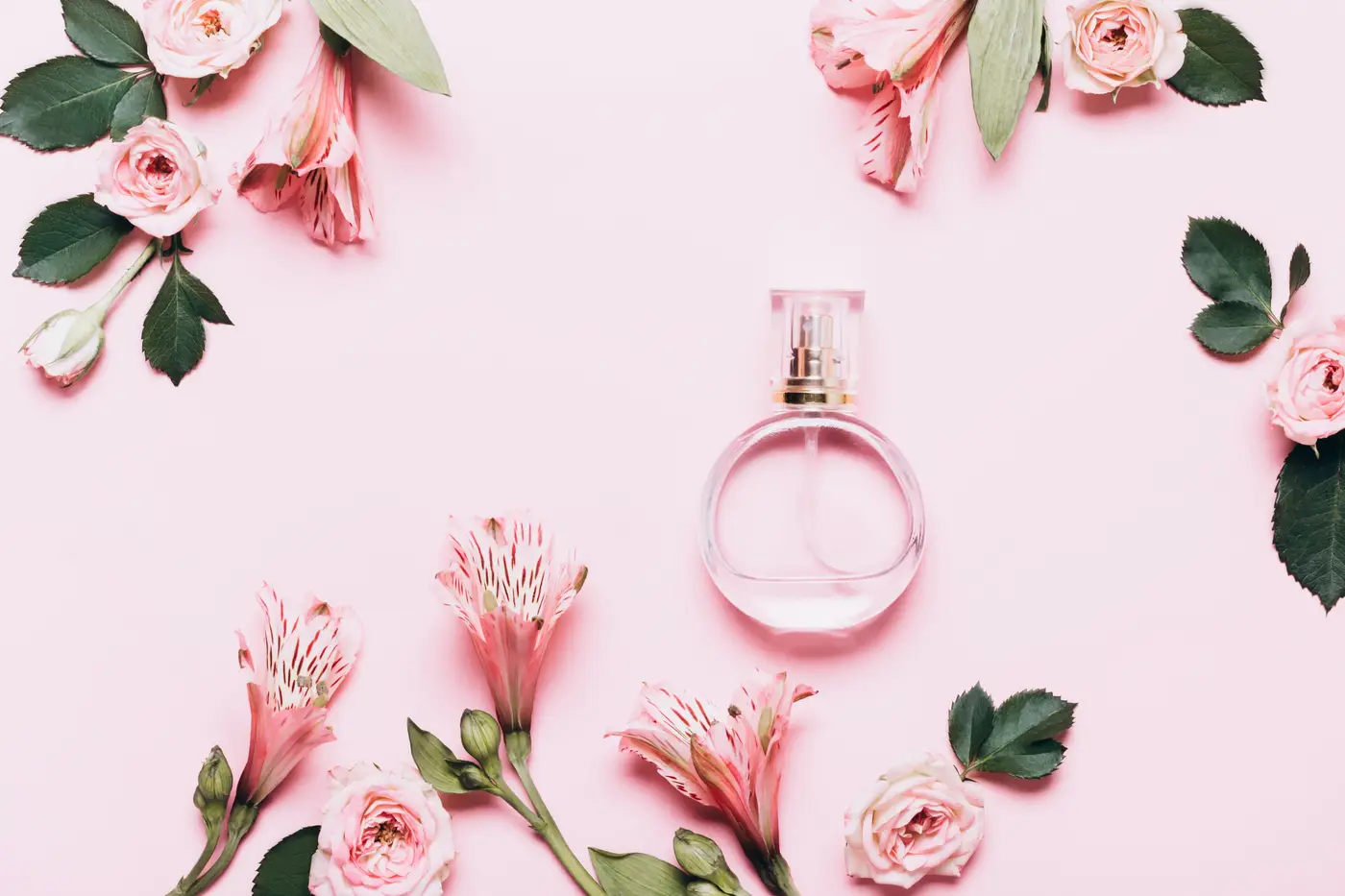 Kadın parfümü ve güller — pembe fon