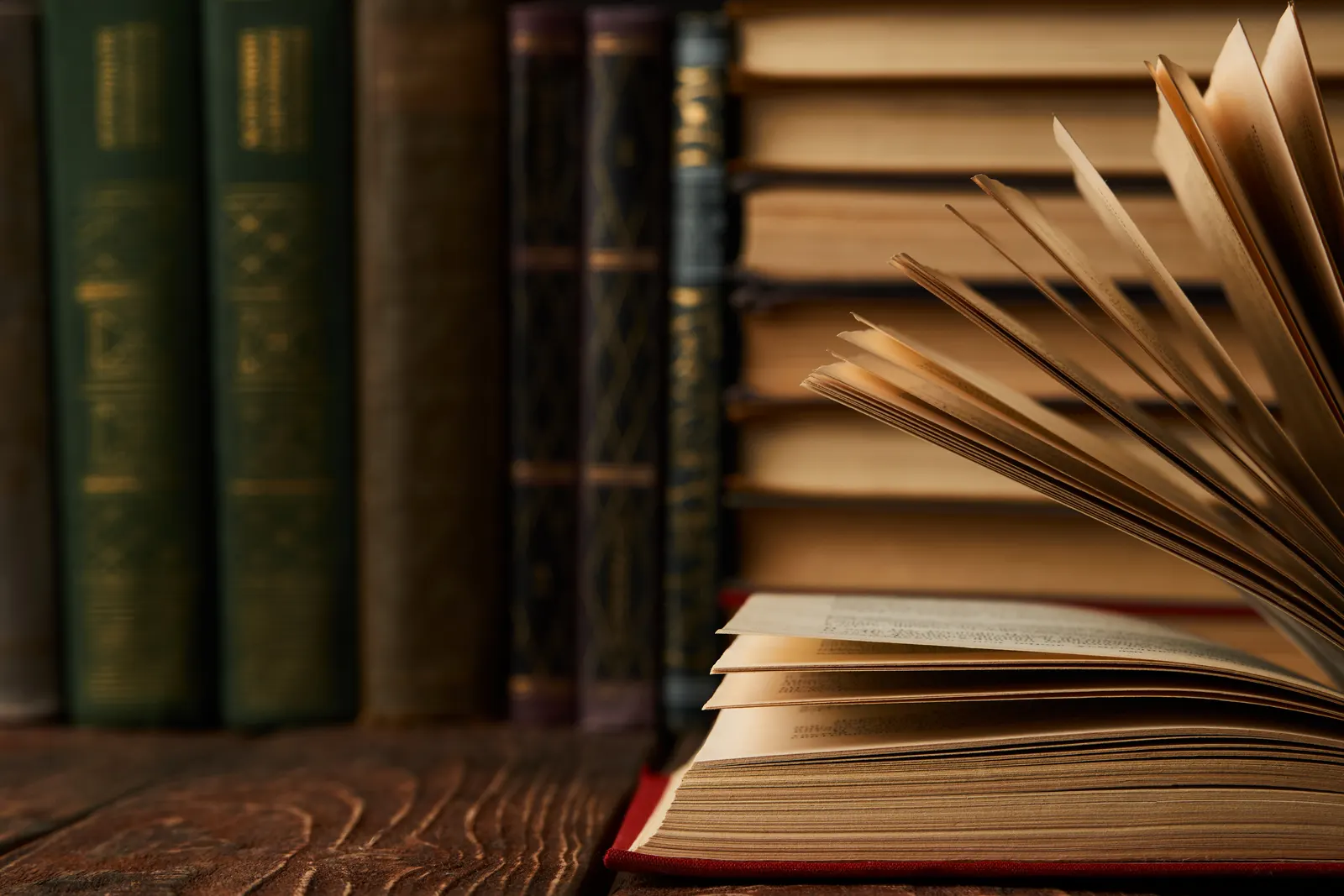 Masada açık duran kitap, arkada kitap rafları